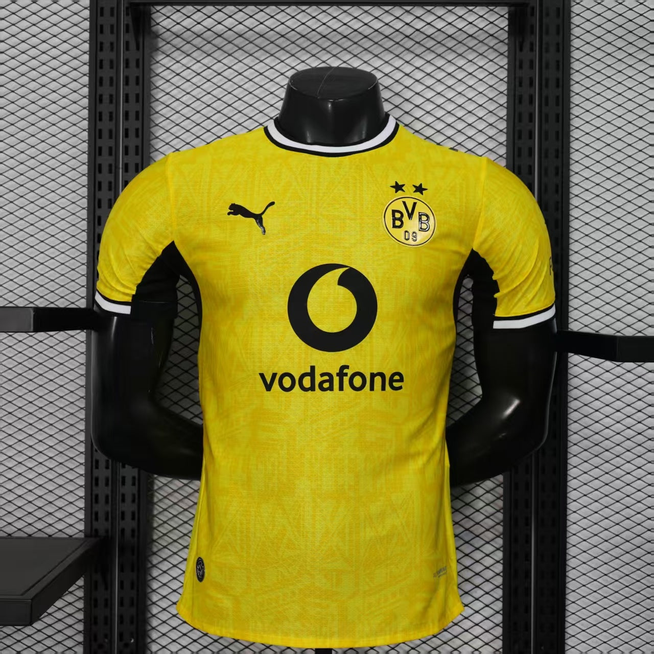 Borussia Dortmund 26/27 Local
