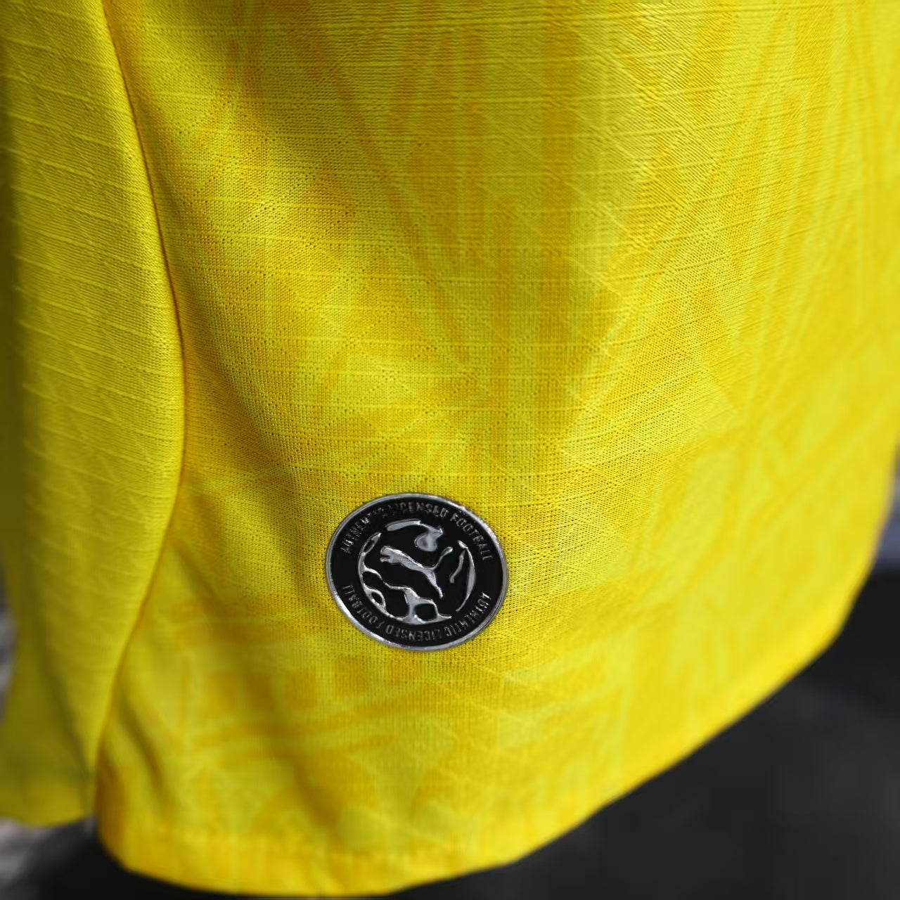 Borussia Dortmund 26/27 Local