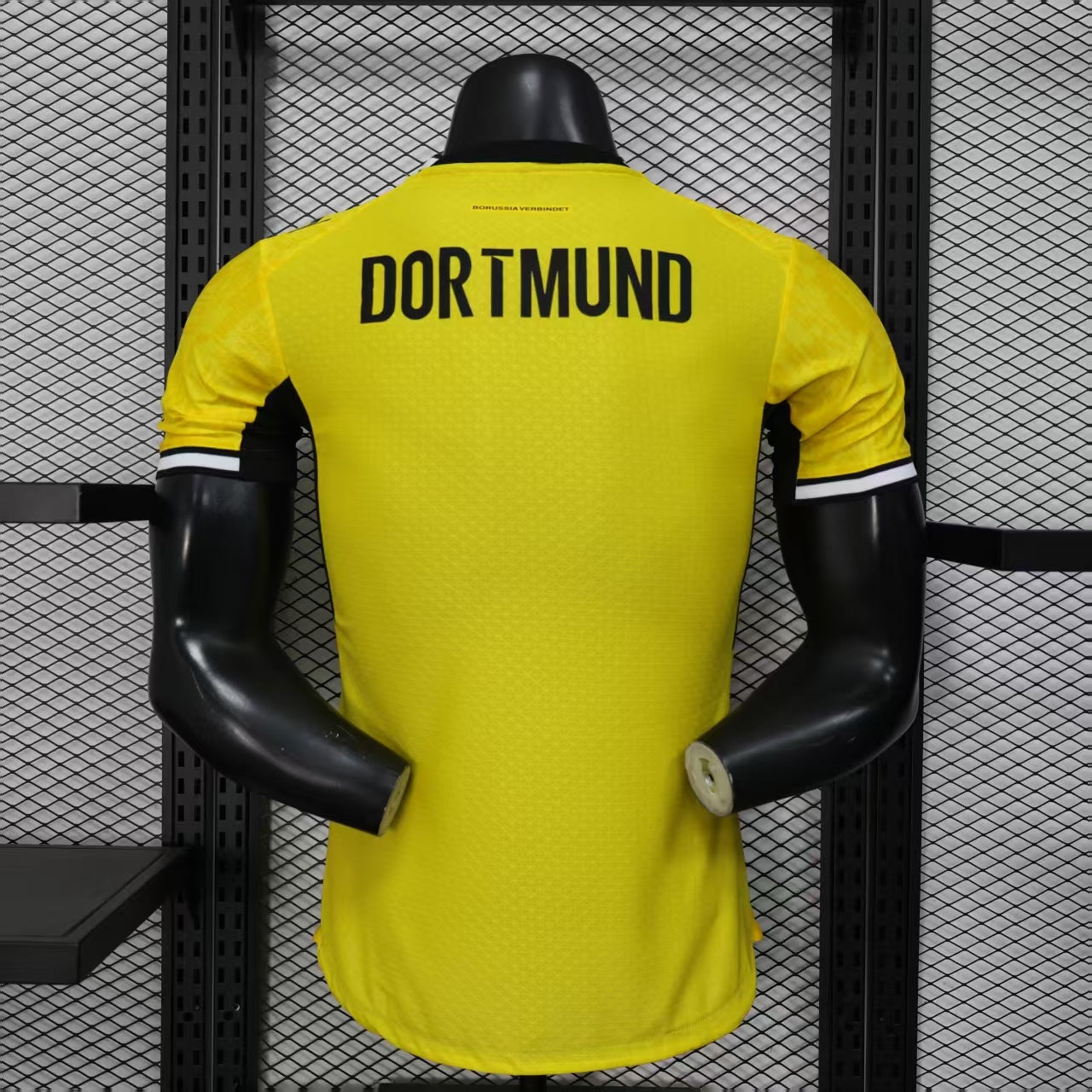 Borussia Dortmund 26/27 Local