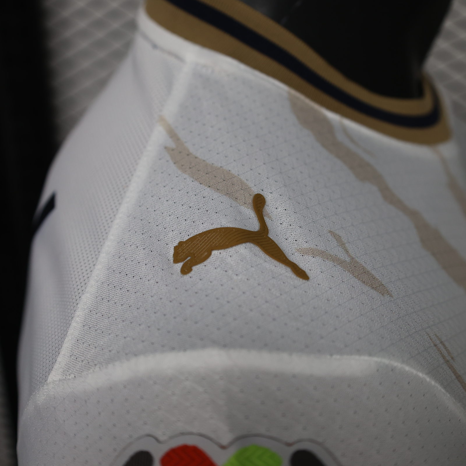 Pumas 26/27 Visita