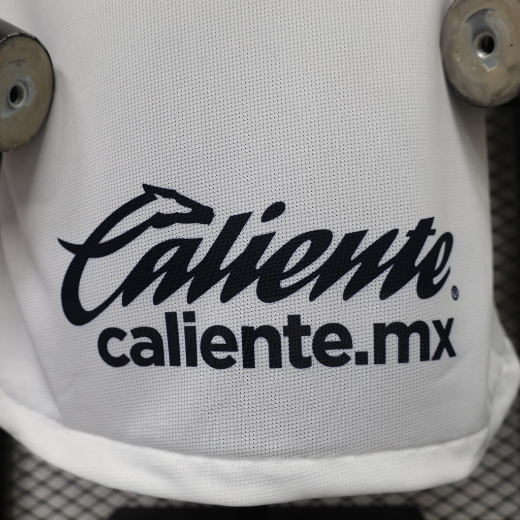 Pumas 26/27 Visita