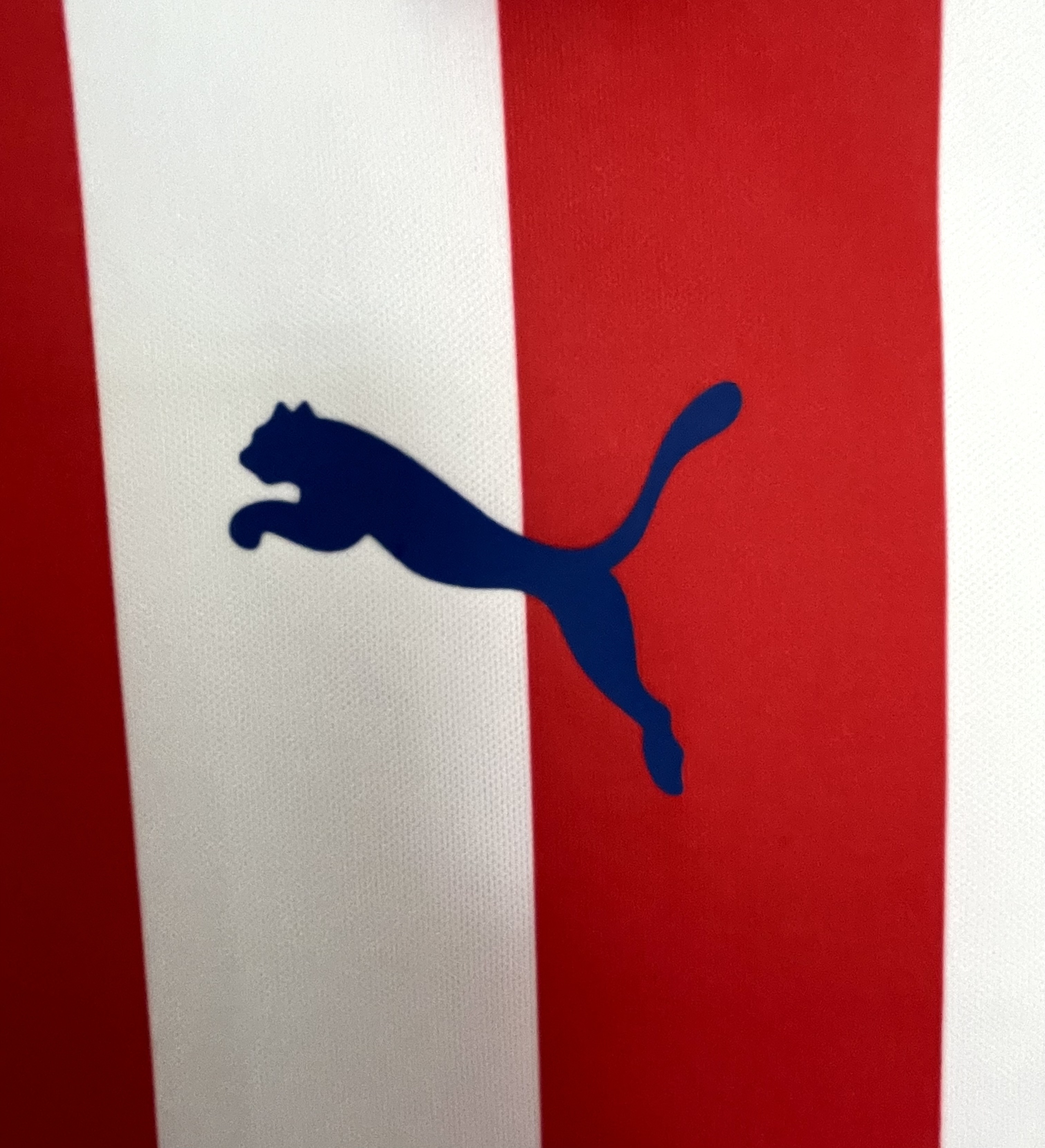 Chivas Aniversario 100 Años