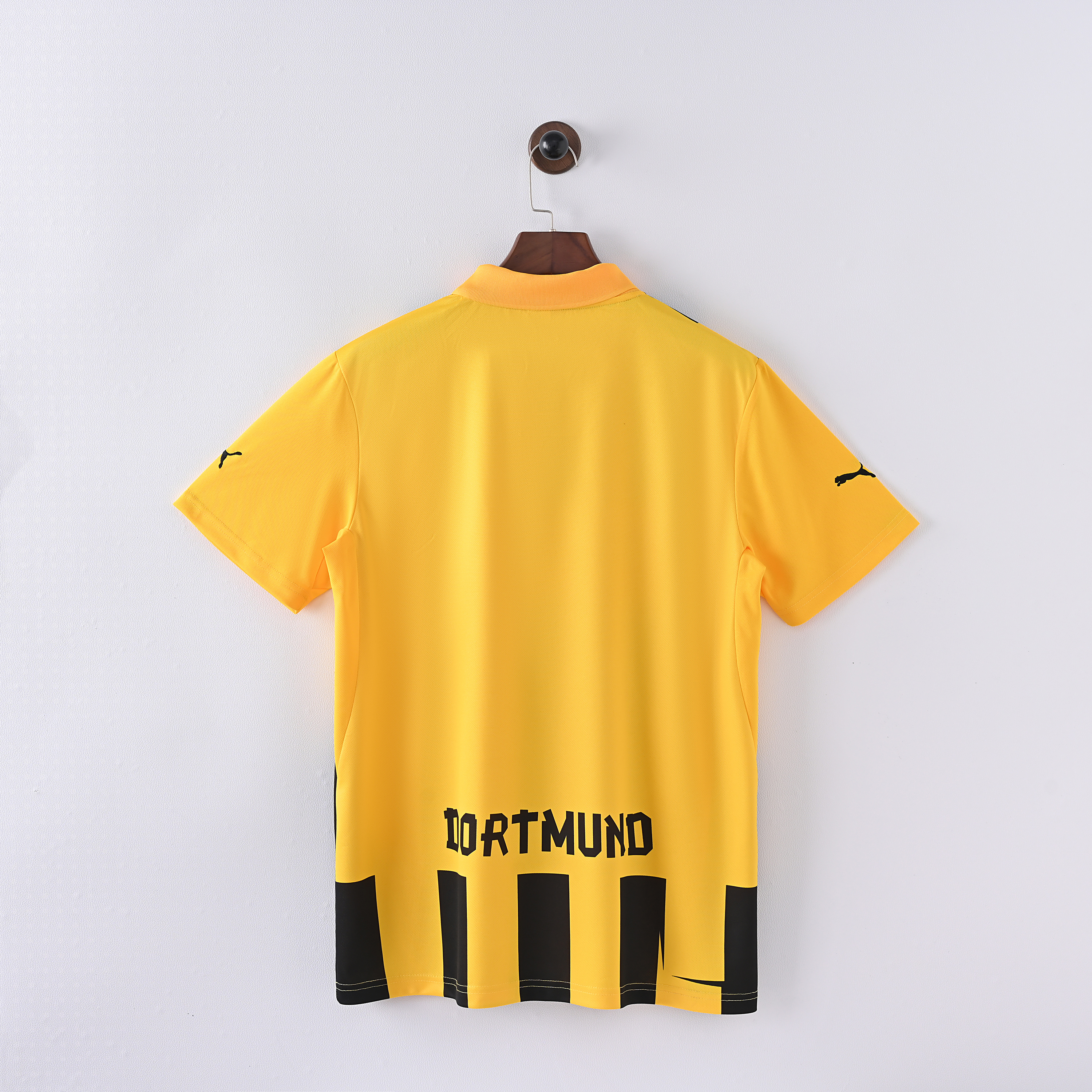 Borusia Dortmund 12/13 Local